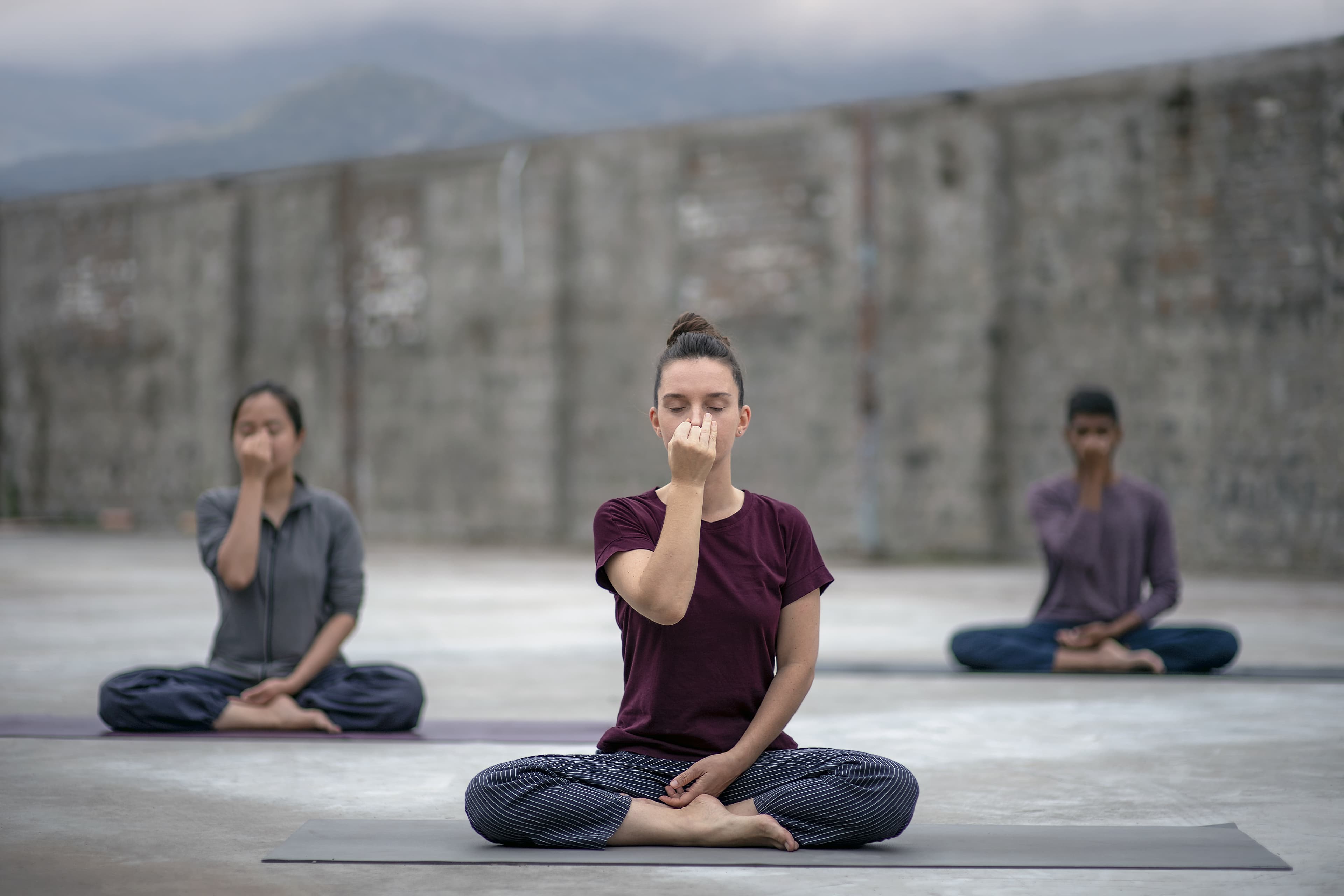 Respiration, Meditation, Hatha Yoga